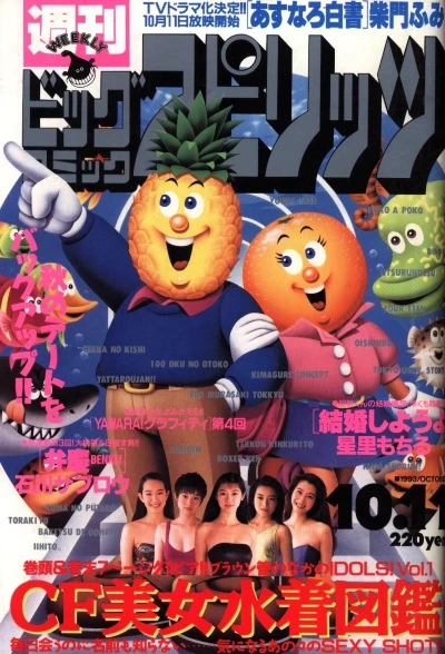 Cover of No. 43, 1993