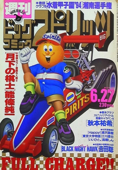Cover of No. 27, 1994