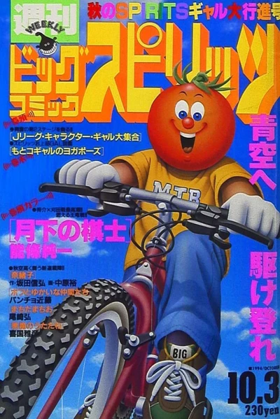 Cover of No. 41, 1994