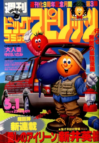 Cover of No. 19, 1995