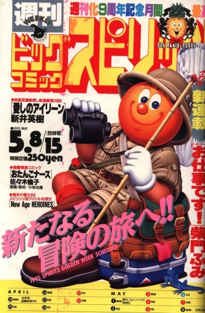 Cover of No. 20-21, 1995