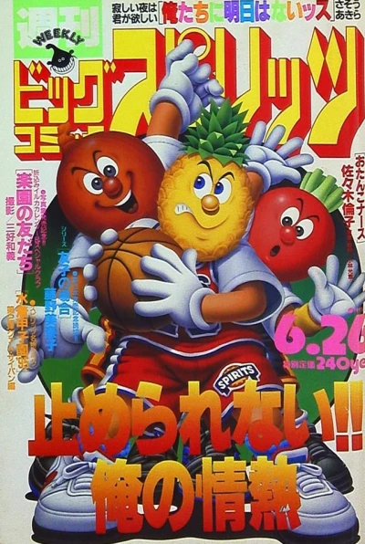 Cover of No. 27, 1995