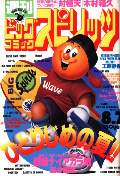 Cover of No. 33, 1995