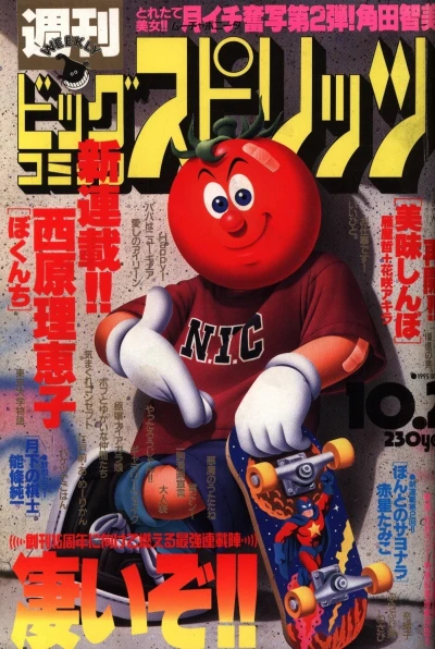 Cover of No. 41, 1995