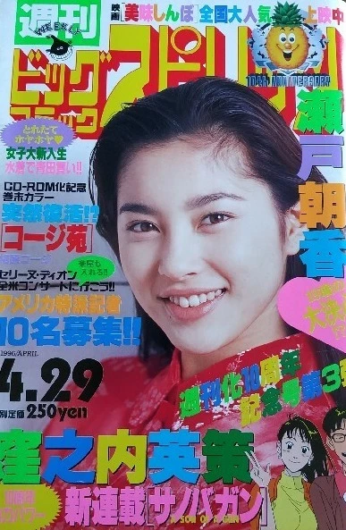 Cover of No. 19, 1996
