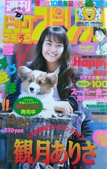 Cover of No. 21-22, 1996