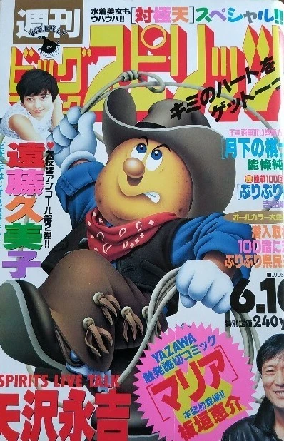 Cover of No. 25, 1996