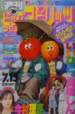 Cover of No. 30, 1996