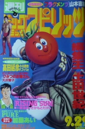Cover of No. 41, 1997