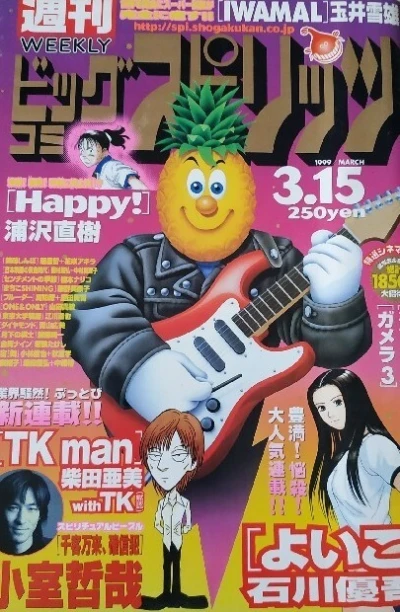 Cover of No. 13, 1999