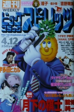Cover of No. 17, 1999
