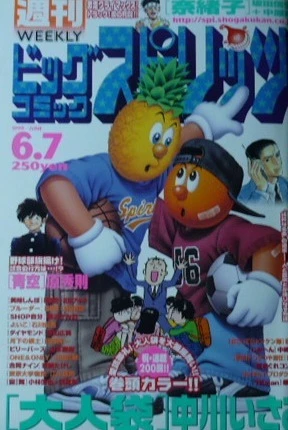 Cover of No. 25, 1999