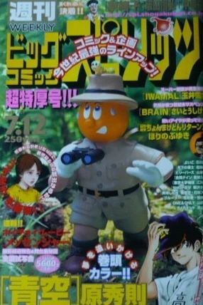 Cover of No. 30, 1999