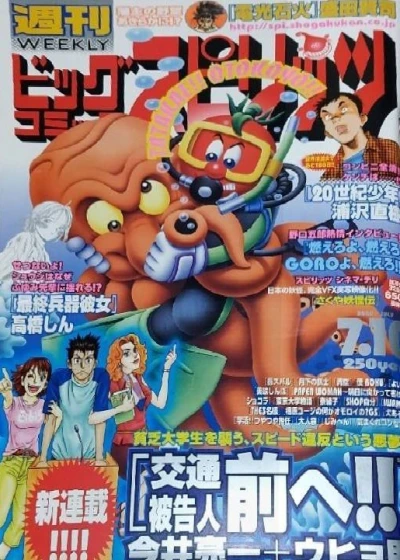 Cover of No. 30, 2000