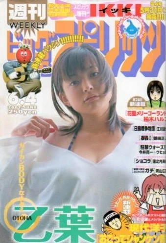 Cover of No. 25, 2001