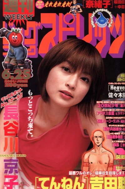 Cover of No. 28, 2001