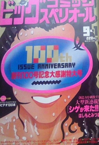 Cover of No. 17, 1991