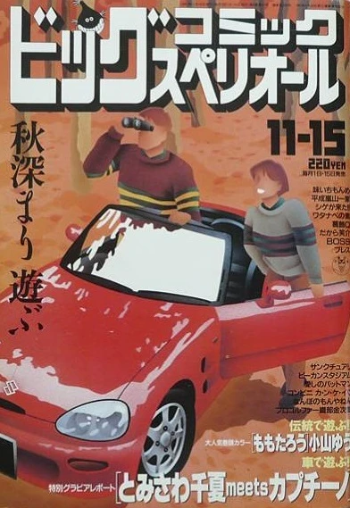 Cover of No. 22, 1991