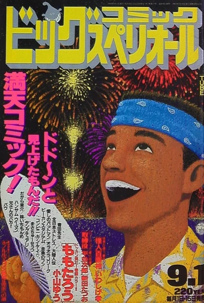 Cover of No. 17, 1993
