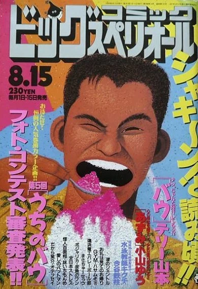 Cover of No. 16, 1995