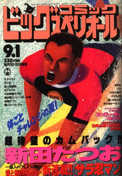 Cover of No. 17, 1995
