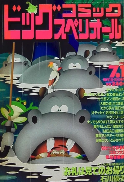 Cover of No. 13, 1996