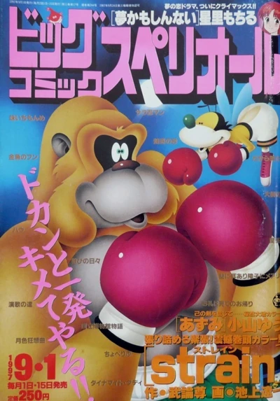 Cover of No. 17, 1997