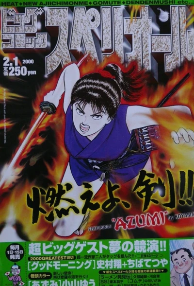 Cover of No. 3, 2000