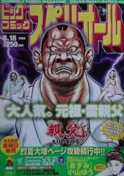 Cover of No. 17, 2000