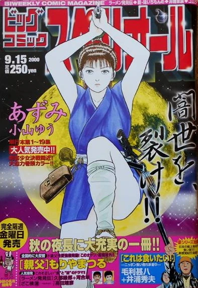 Cover of No. 19, 2000