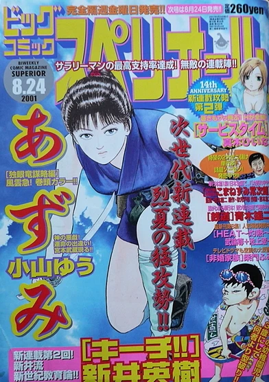 Cover of No. 17, 2001