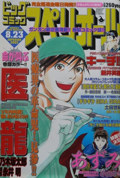 Cover of No. 17, 2002