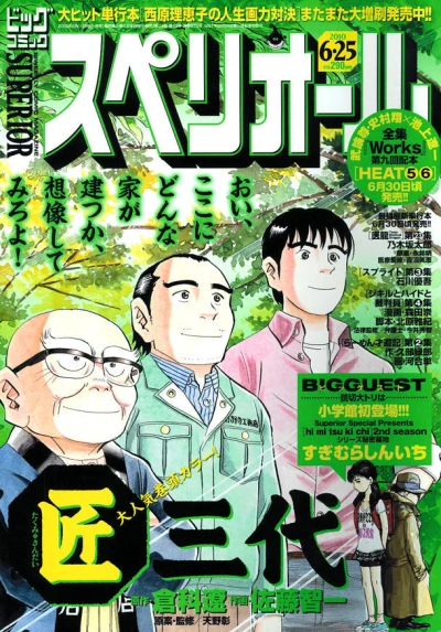 Cover of No. 13, 2010