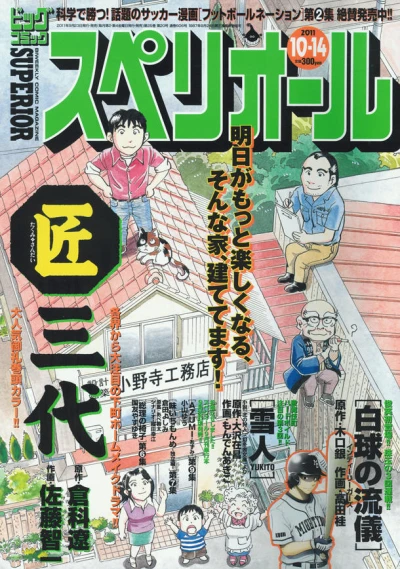 Cover of No. 20, 2011