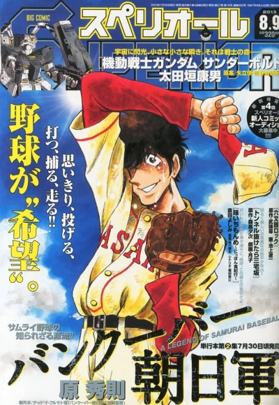 Cover of No. 16, 2013