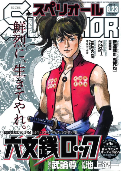 Cover of No. 17, 2013