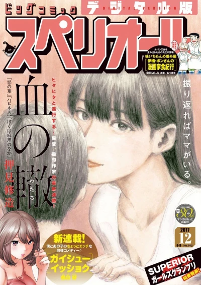 Cover of No. 12, 2017