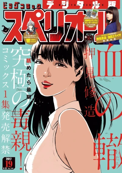 Cover of No. 19, 2017