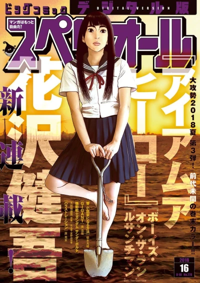 Cover of No. 16, 2018