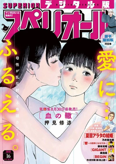 Cover of No. 16, 2019