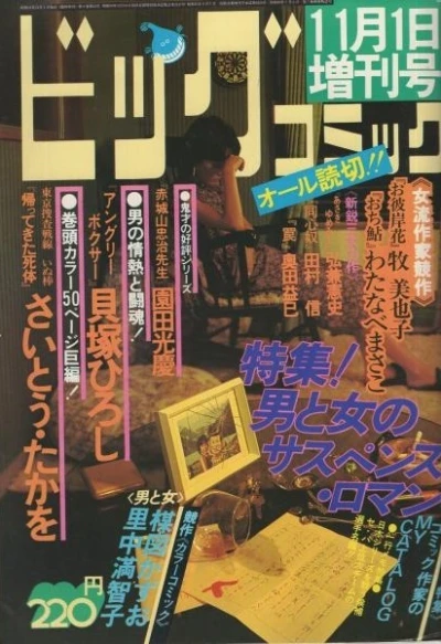 Cover of Volume #244