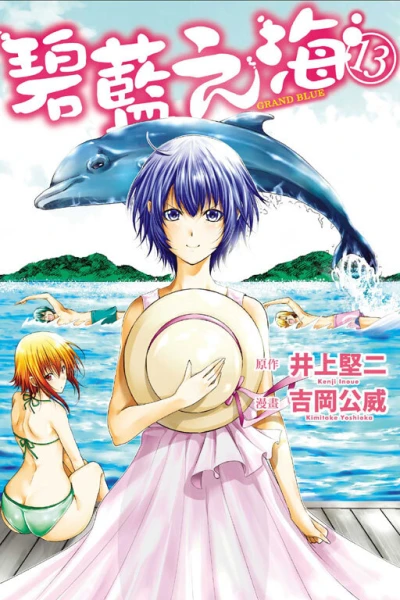 Cover of Vol. 13