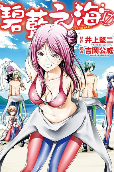 Cover of Vol. 17
