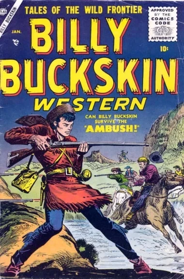 Cover of Ambush!