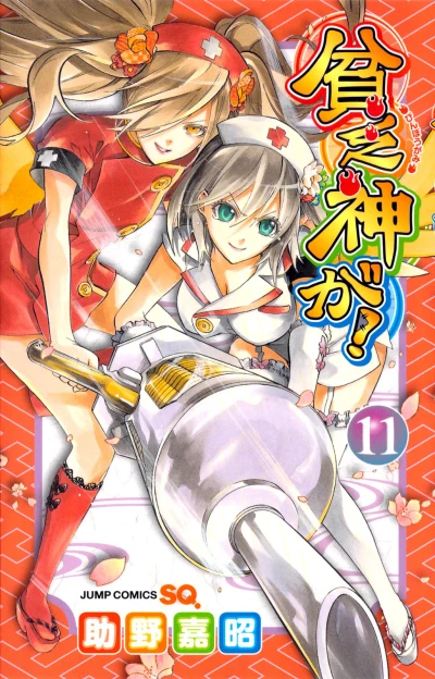 Cover of Vol. 11