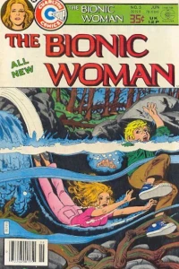 Operation "Fish Net"