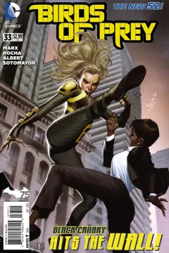 Birds of Prey (Volume 3)