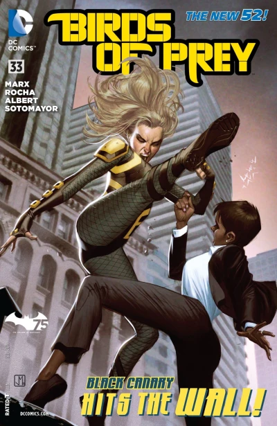 Cover of Birds of Prey (Volume 3)