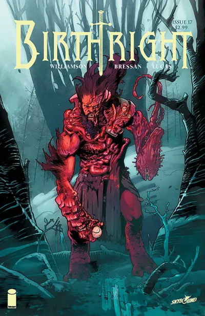 Cover of Issue #17