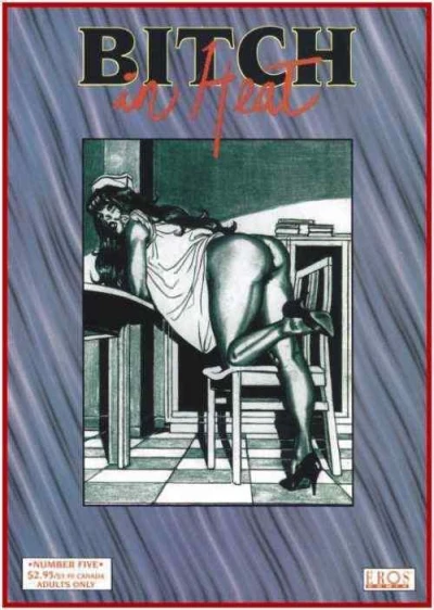 Cover of Vidoetape; Blue Angel; New Geometry Theory